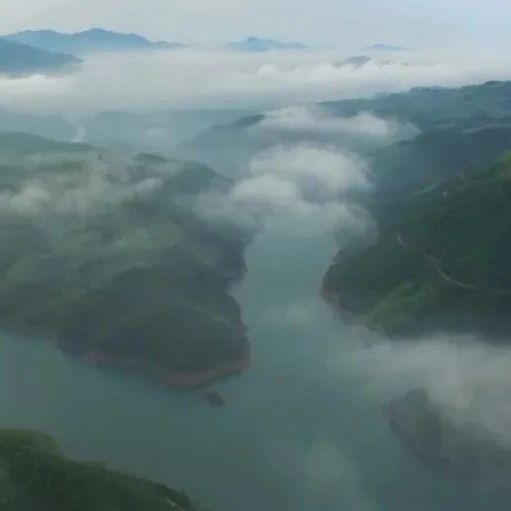 【视野】绿色桑海