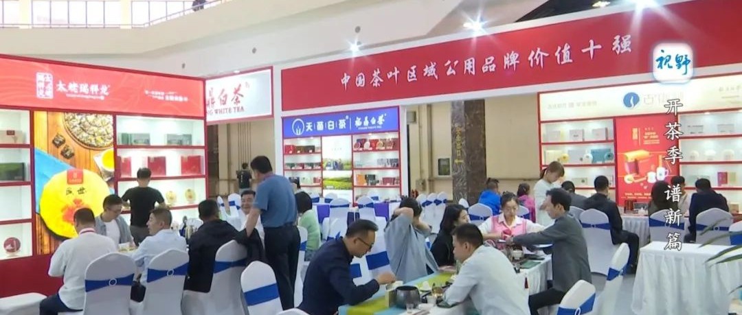 【视野】十年磨一剑！开茶季，谱新篇