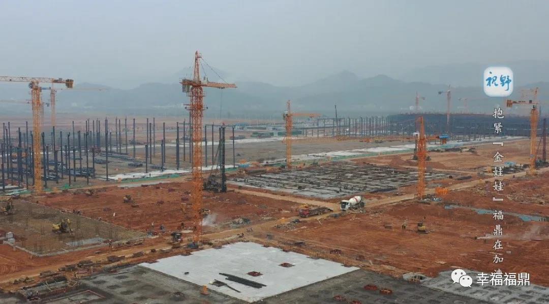 【视野】抱紧“金娃娃” 福鼎在加速