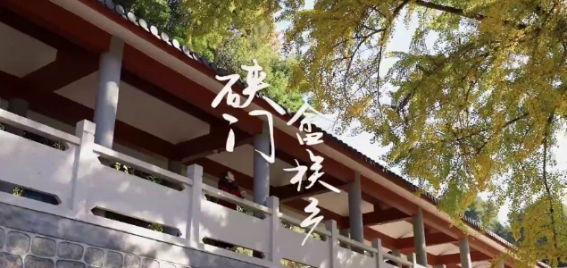 从山里来，到海边去。去瑞云村赏银杏，去石兰村看城堡，去渔井村感受大海的孤独辽远。第二期福鼎周边游走进硖门畲族乡，文字攻略在视频最后。