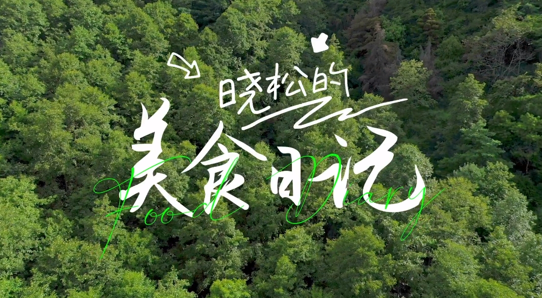 晓松美食日记