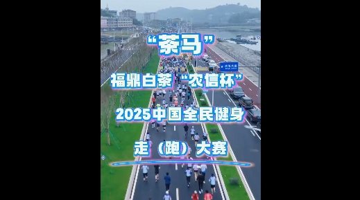 3月23日来福鼎，让我们相约“茶马”，一起跑进春天