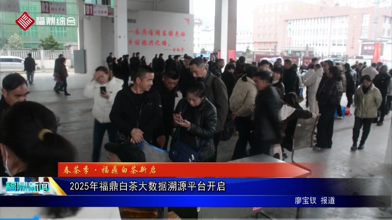 2025年福鼎白茶大数据溯源平台开启