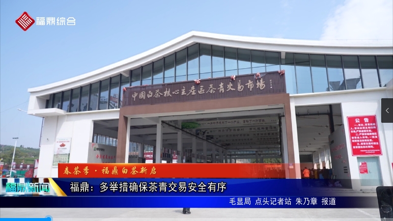 福鼎：多举措确保茶青交易安全有序