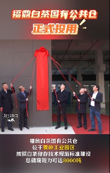 3月19日，福鼎白茶国有公共仓正式揭牌投用，多家知名茶企已入驻