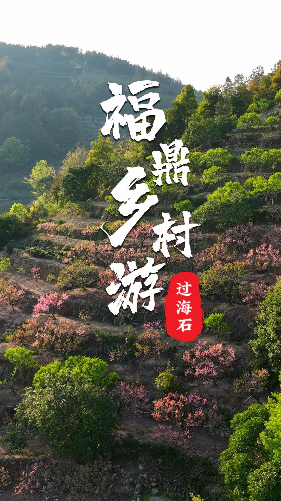 三生三世十里桃花，我在前岐镇过海石村寻到了江南的春信