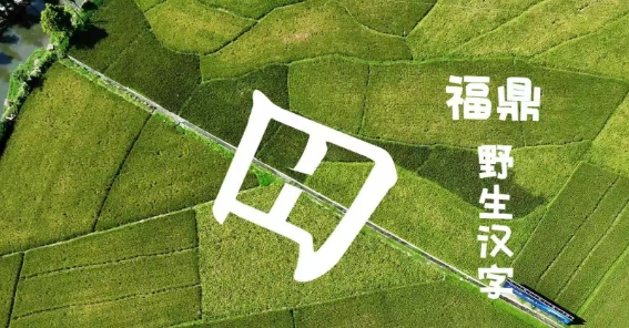 当福鼎的自然风光遇上“野生”汉字，一撇一捺都在勾勒独属于福鼎的美丽景色！