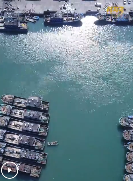 截屏2025-07-12 18.37.29.png