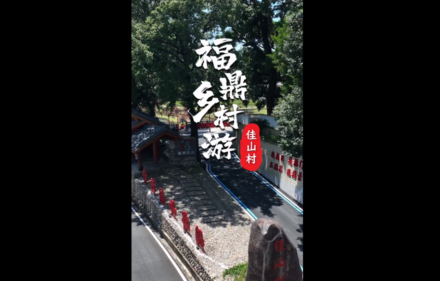 【玩转福鼎】进福门走福道摸福树逛福园！这个闽浙边界小村，福气太硬核！