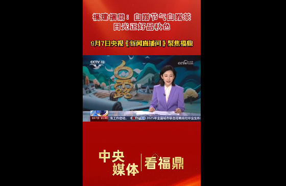 9月7日央视新闻频道《新闻直播间》聚焦福鼎：白露节气白露茶 日光正好品秋色