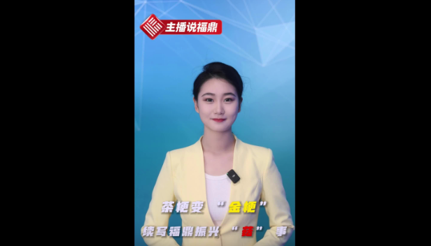 《主播说福鼎》第四十期：茶梗变“金梗“，续写福鼎振兴”菇“事