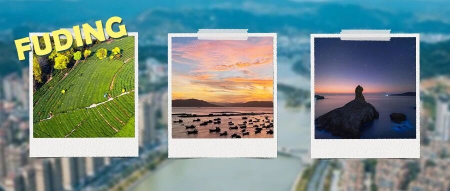 福鼎，何时来看都刚好