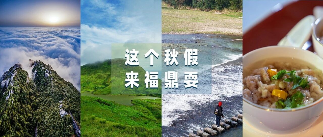 秋假怎么安排？带娃来福鼎玩点不一样的
