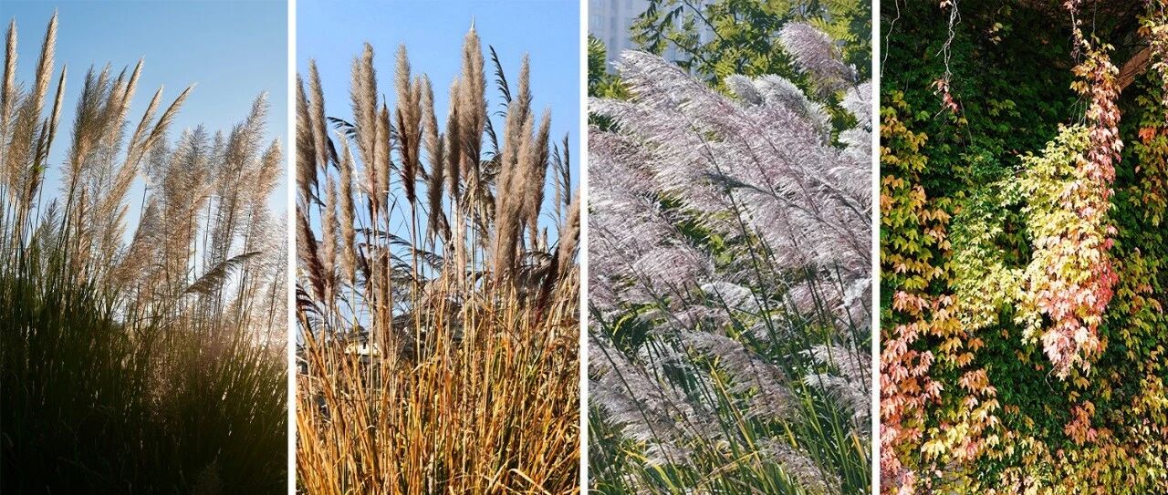 福鼎，竟然还有这样的地方！