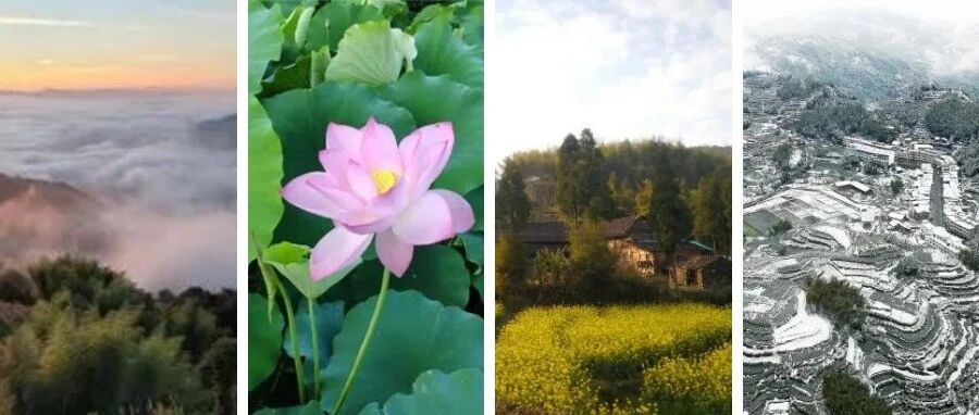 福鼎这里藏着一座“四季画廊”……