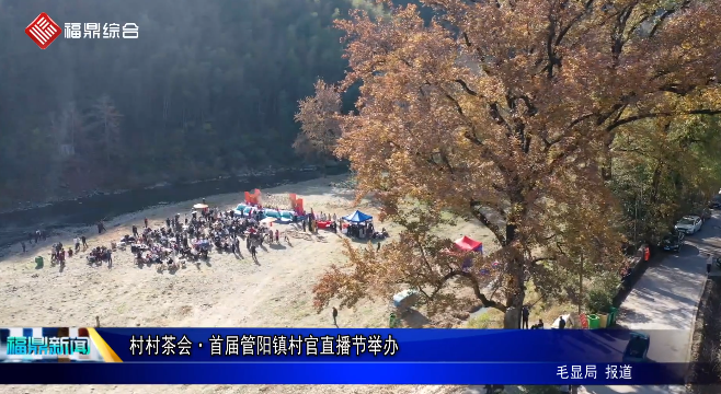 村村茶会·首届管阳镇村官直播节举办