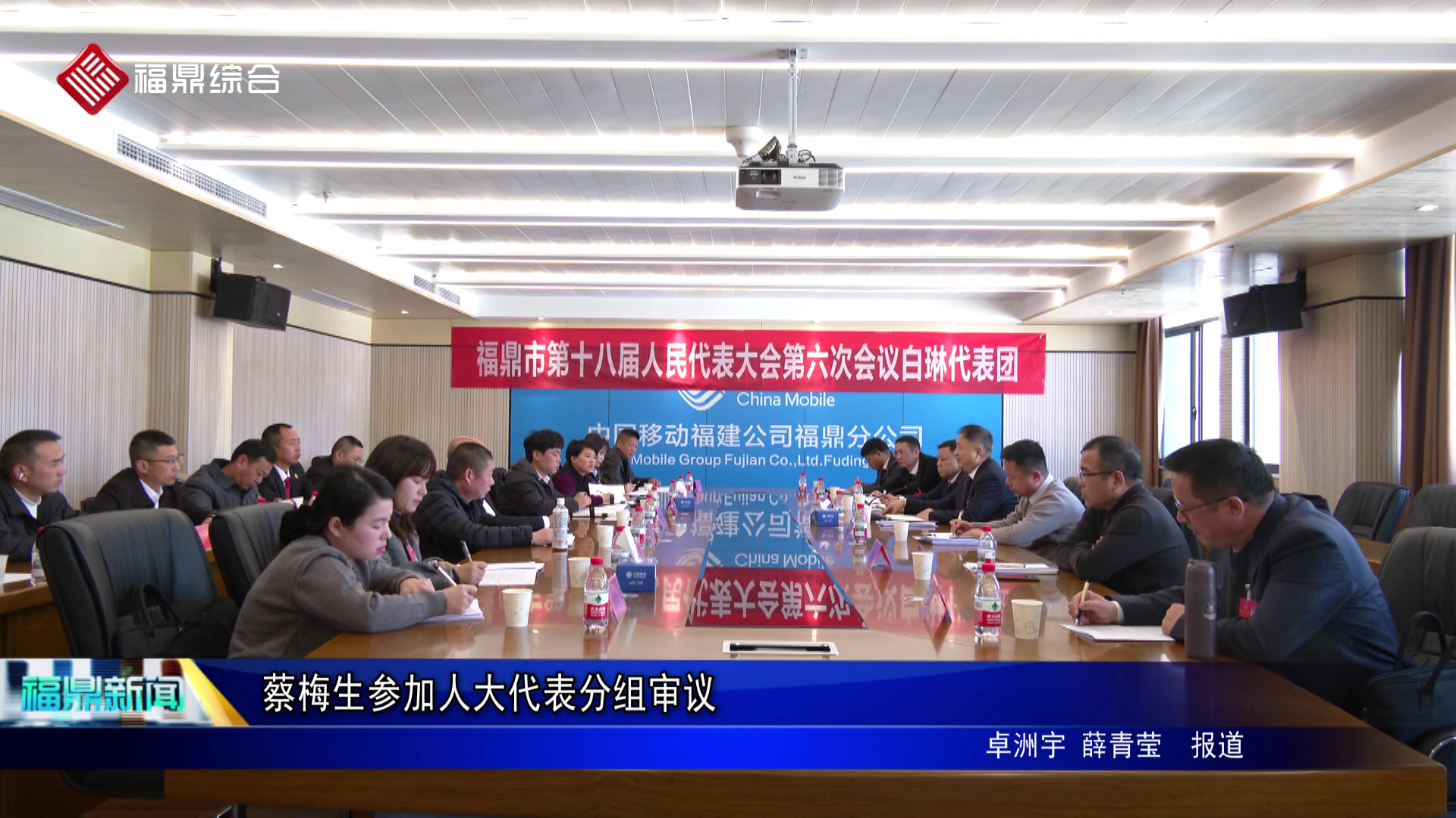 蔡梅生参加人大代表分组审议