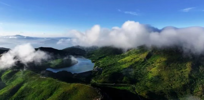 【视野】老丁来了