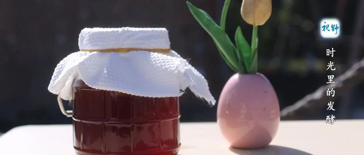 【视野】时光里的发酵
