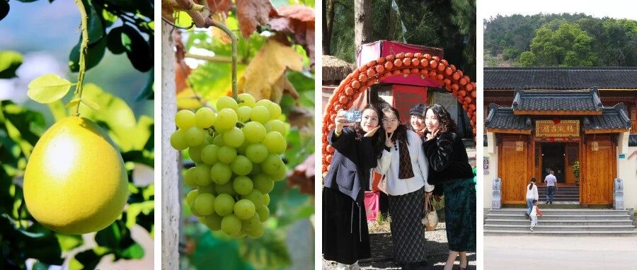 开足“马”力，前岐向“前”！