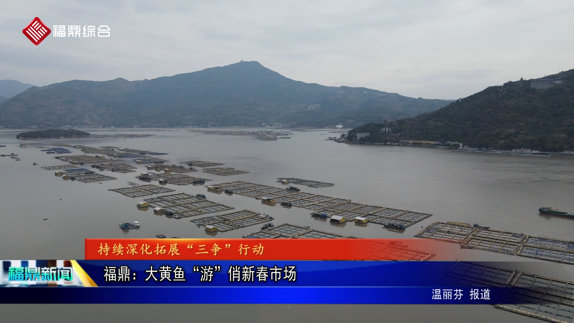 福鼎：大黄鱼“游”俏新春市场