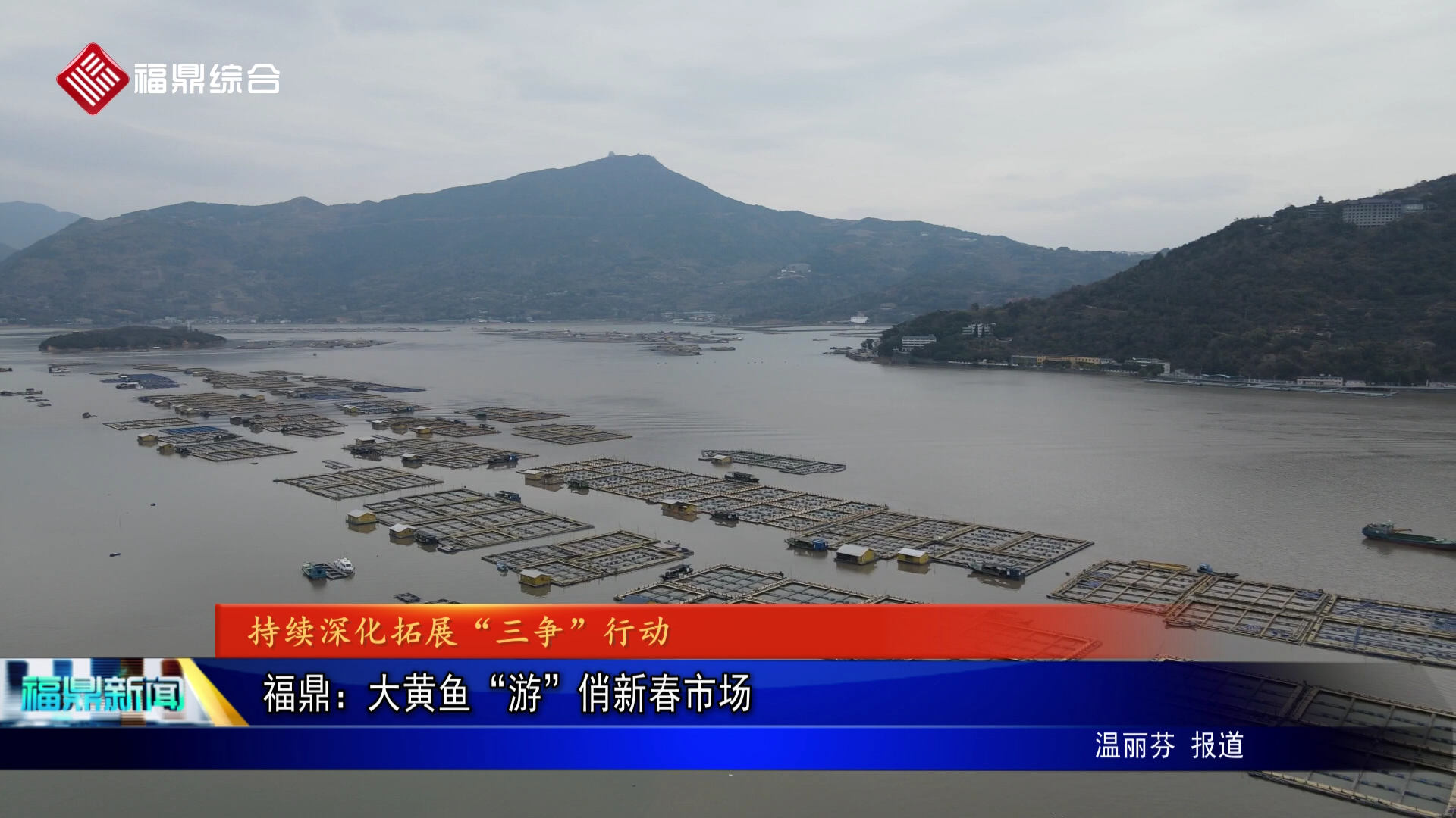 福鼎：大黄鱼“游”俏新春市场