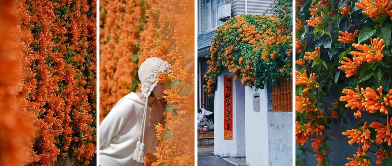 在福鼎偶遇许多绝美花瀑！是不是在你家附近？