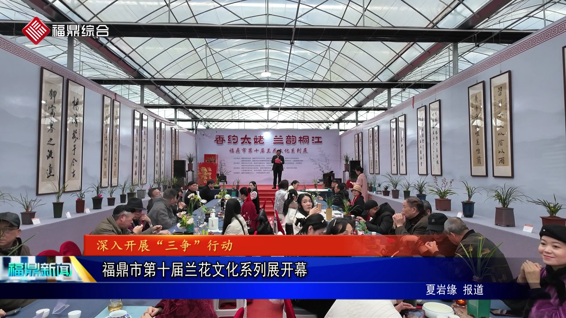 福鼎市第十届兰花文化系列展开幕