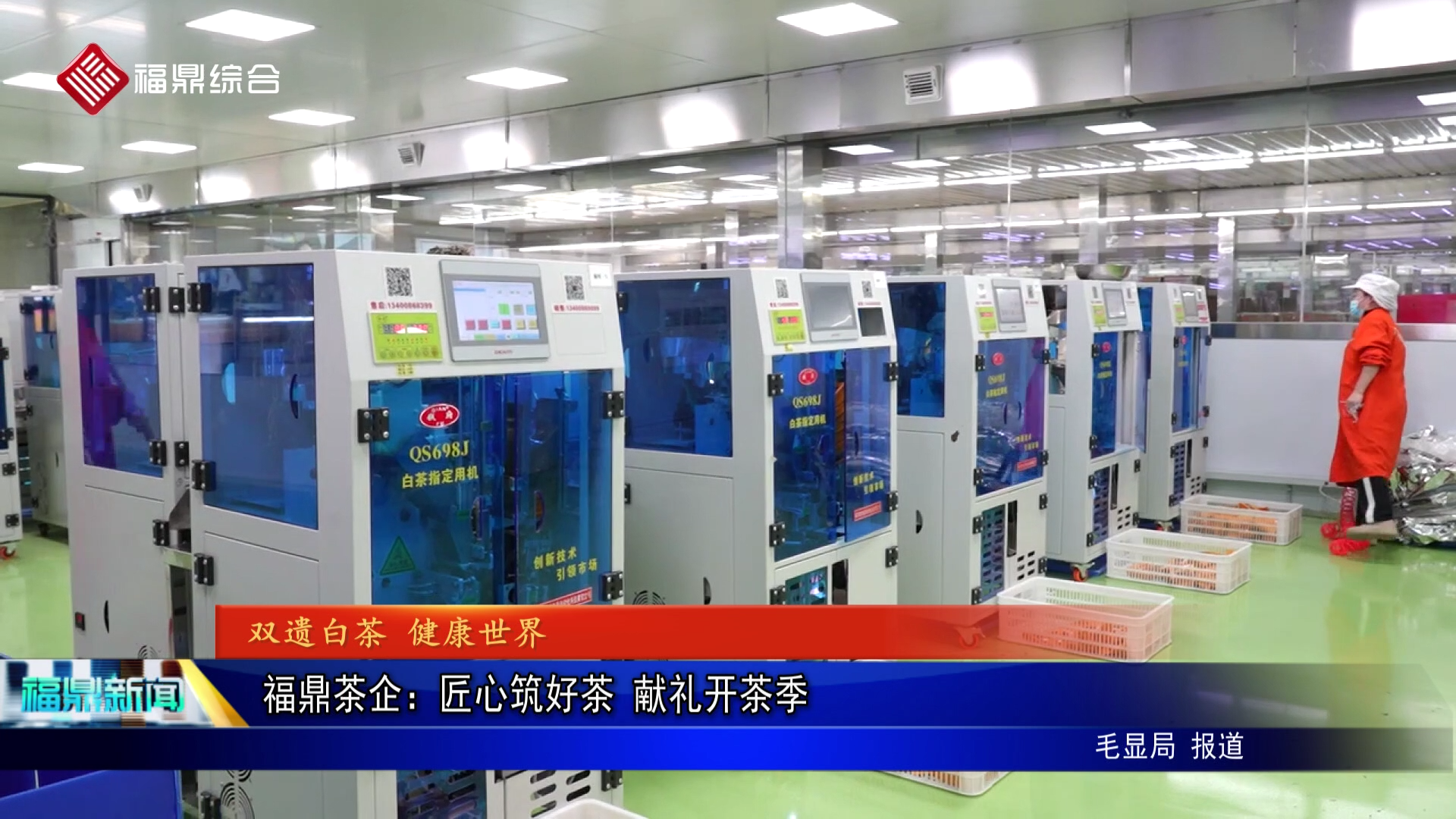 福鼎茶企：匠心筑好茶 献礼开茶季