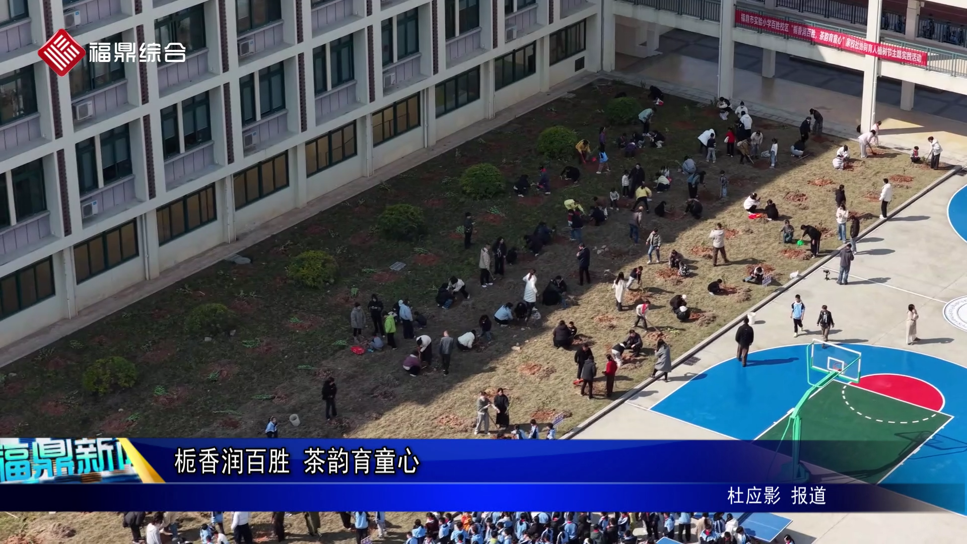 栀香润百胜 茶韵育童心