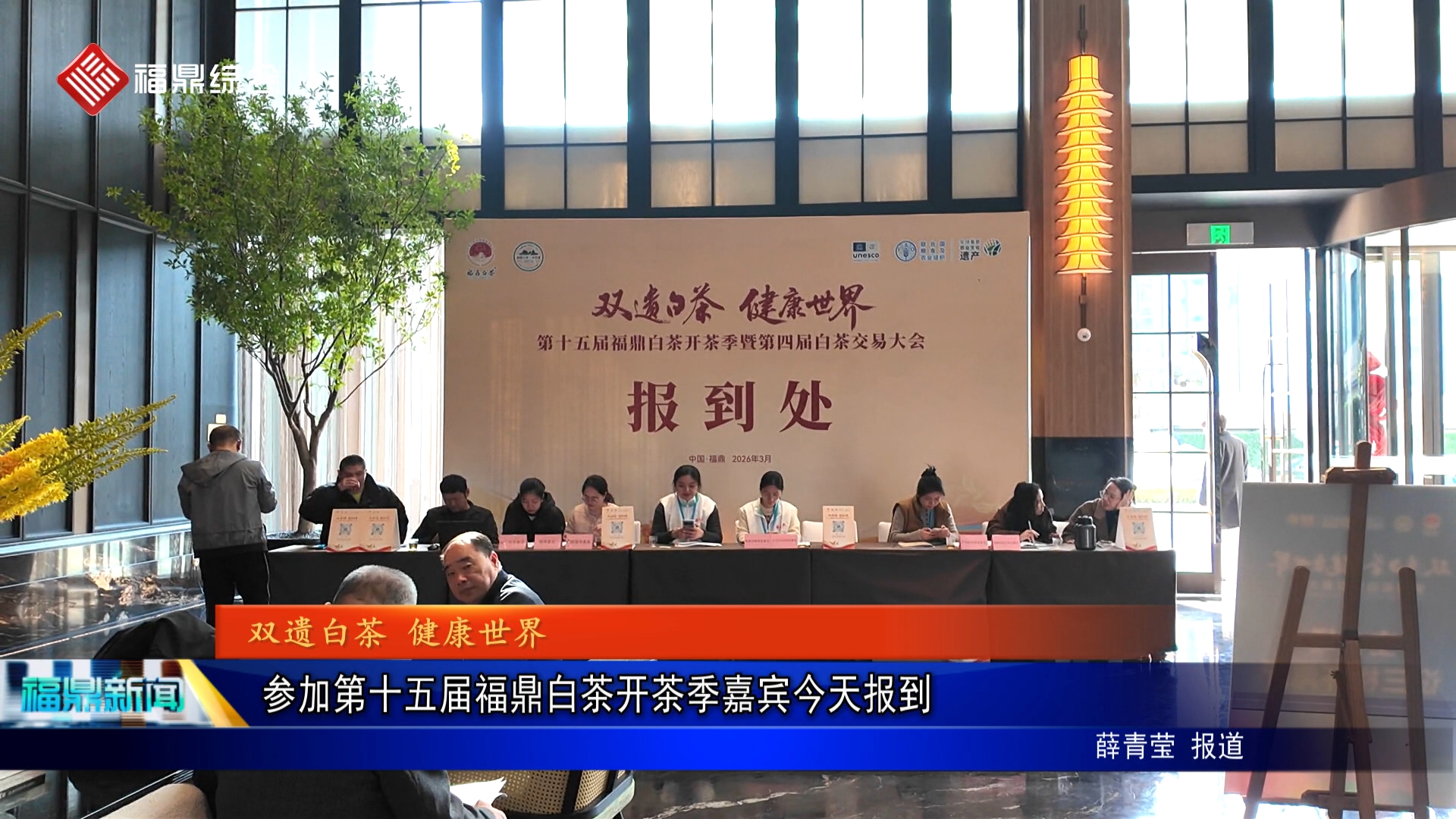 参加第十五届福鼎白茶开茶季嘉宾今天报到