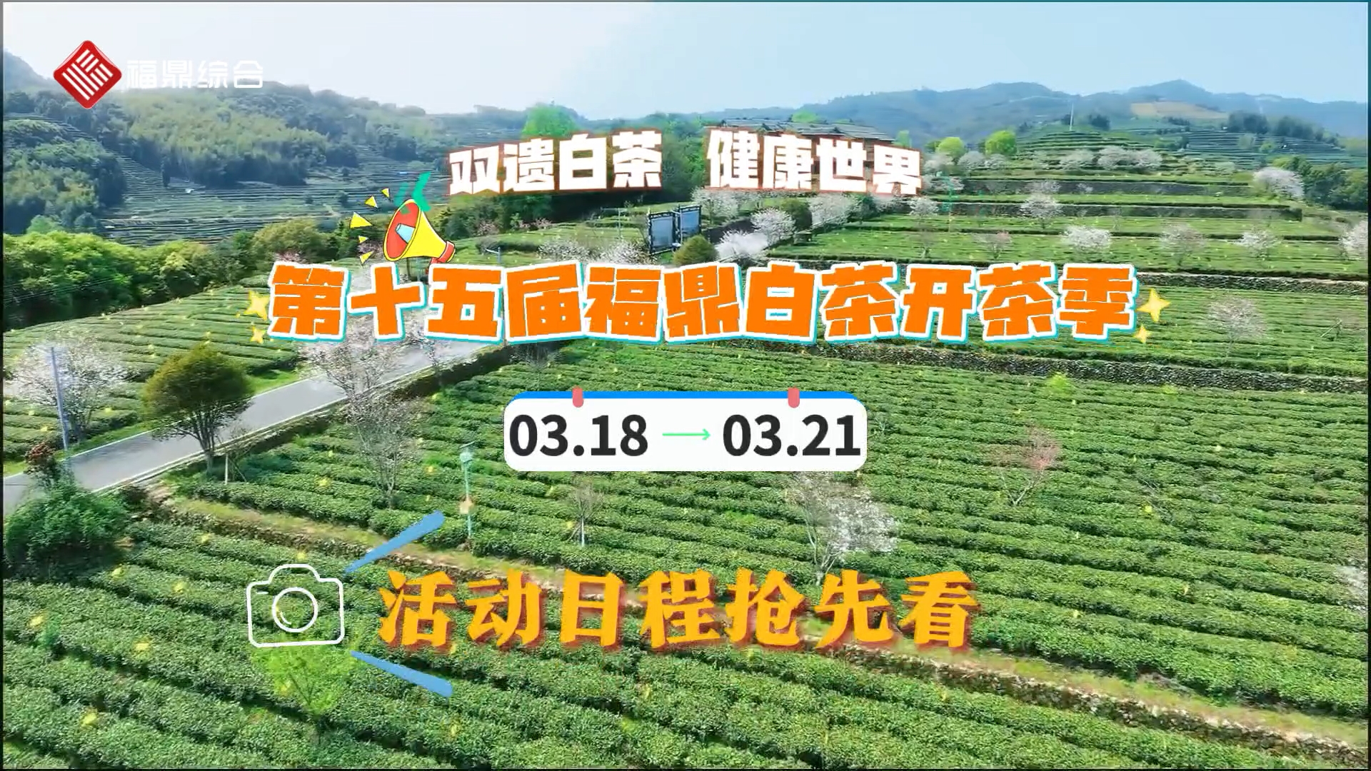 开茶季活动预告