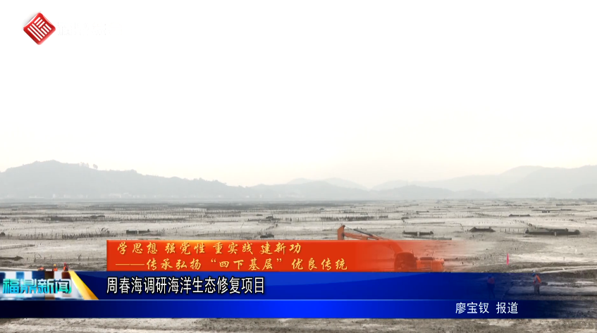 周春海调研海洋生态修复项目