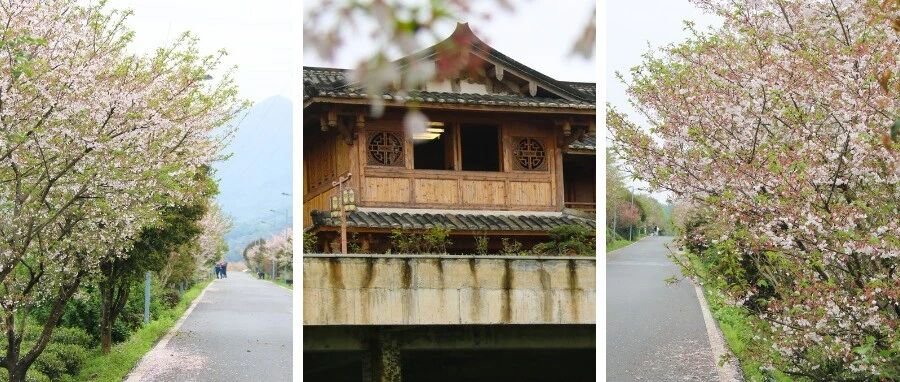 来磻溪，走࿐花࿐路࿐