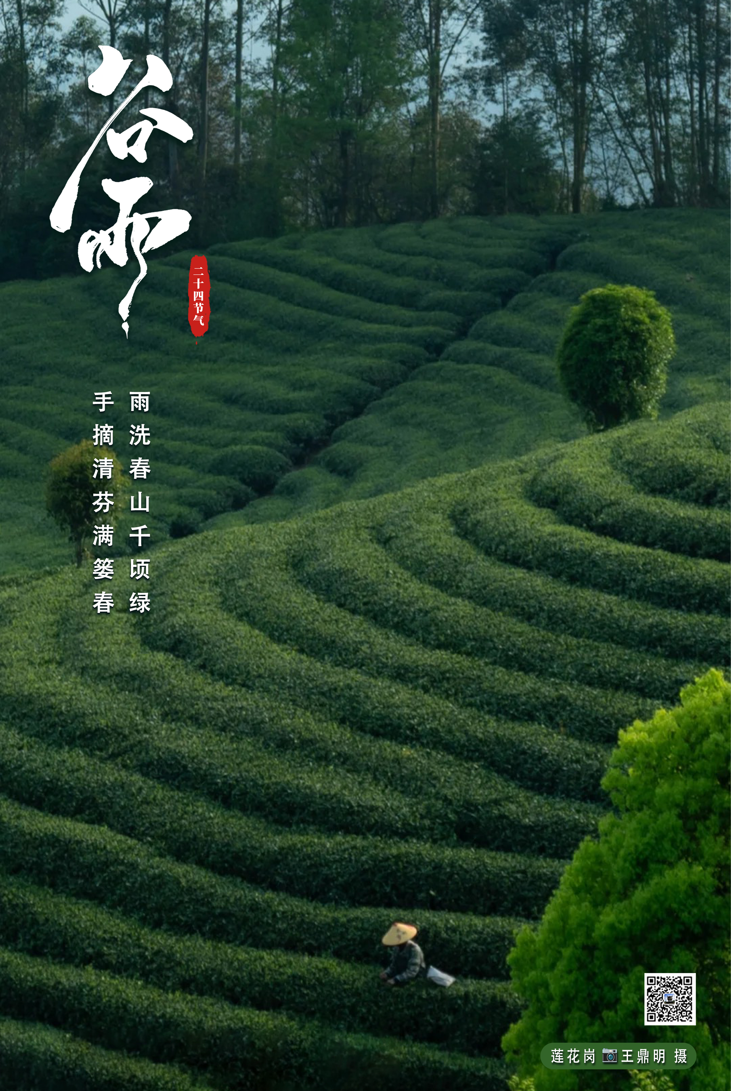 谷雨｜留一抹春色，等一场烟雨