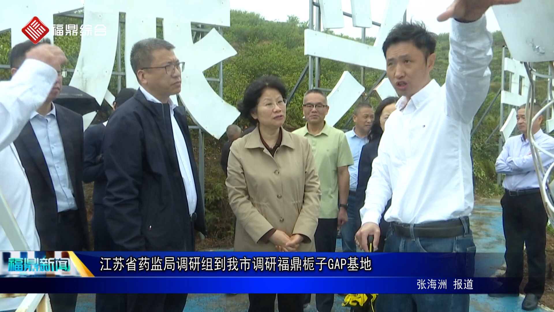 江苏省药监局调研组到我市调研福鼎栀子GAP基地