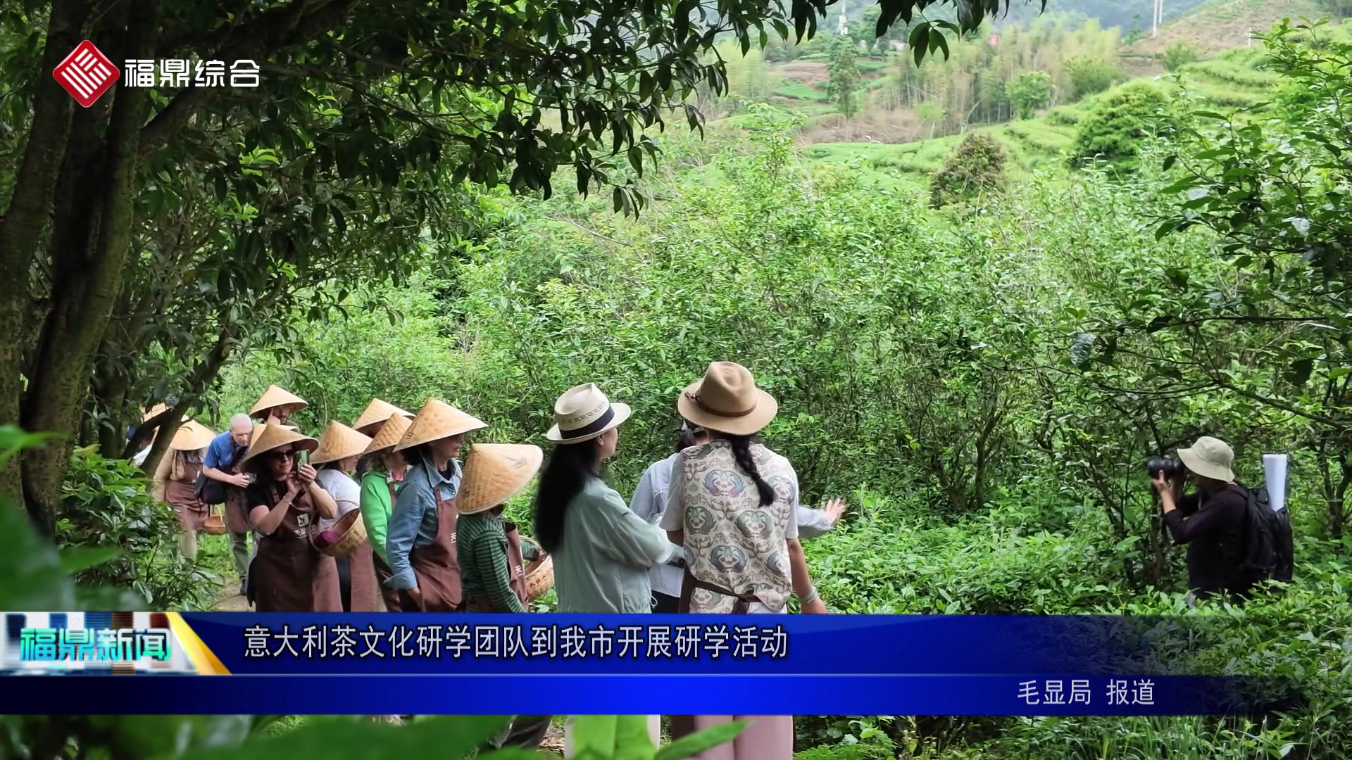 意大利茶文化研学团队到我市开展研学活动