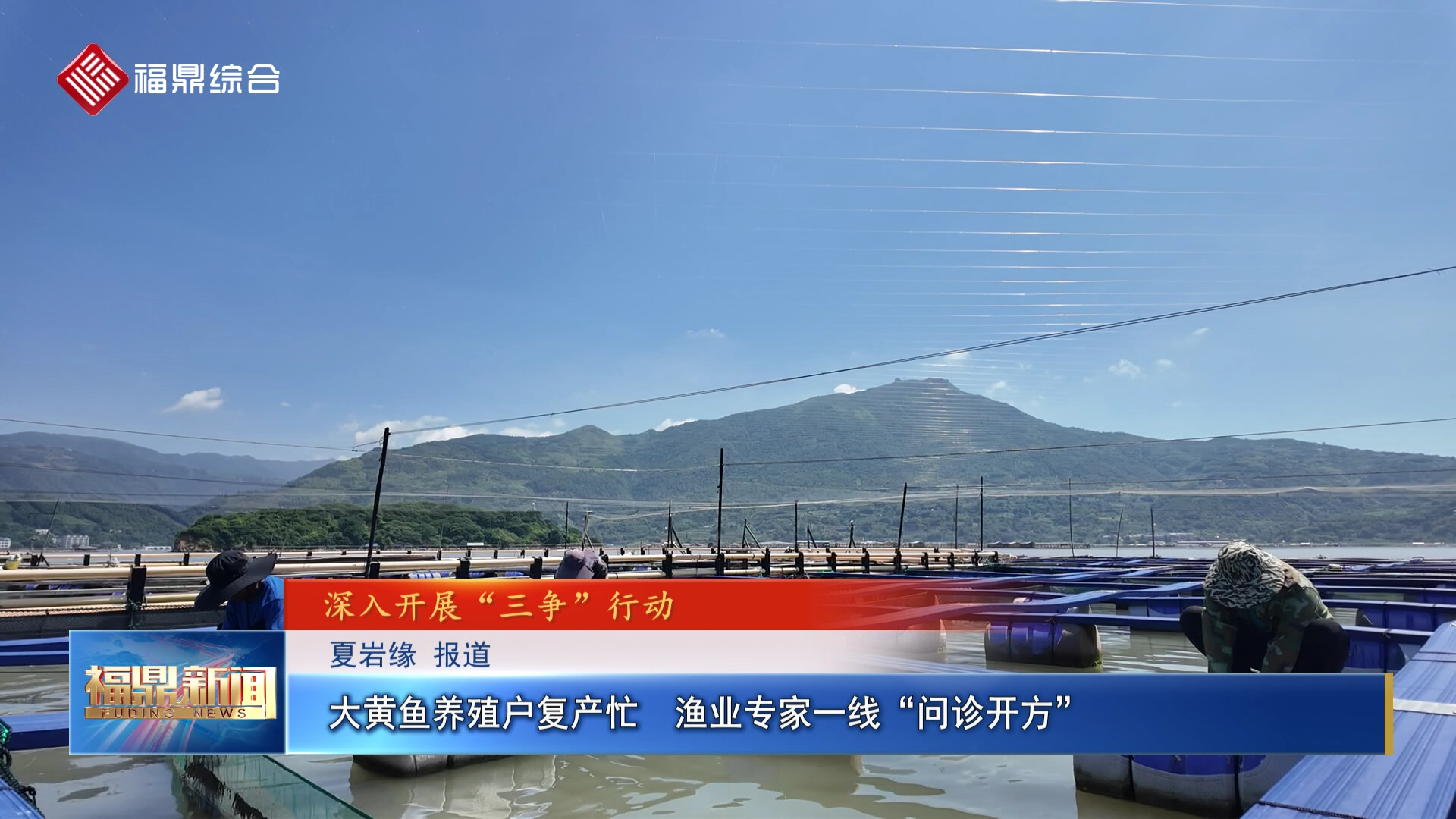 大黄鱼养殖户复产忙  渔业专家一线“问诊开方”