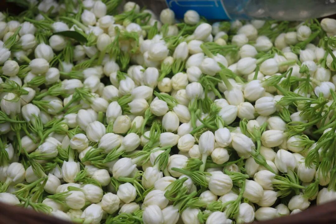 好一朵美丽的_____