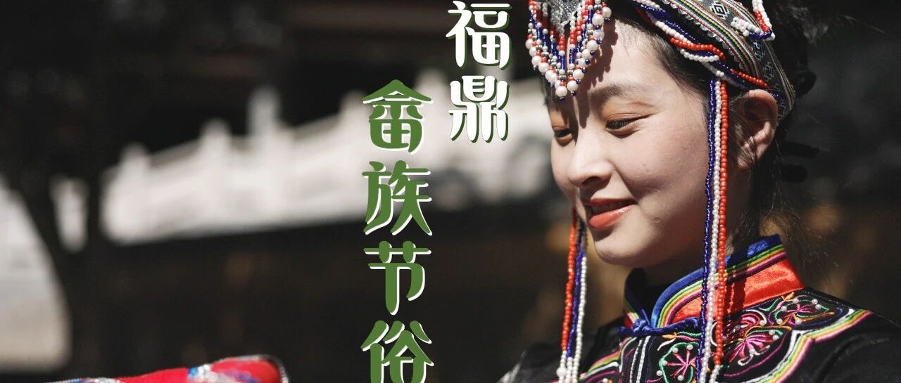 福鼎畲族一年过这么多节，还给牛放假？