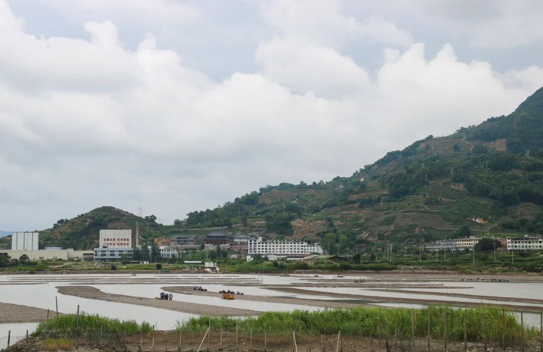 我在白琳吃“cheng”了