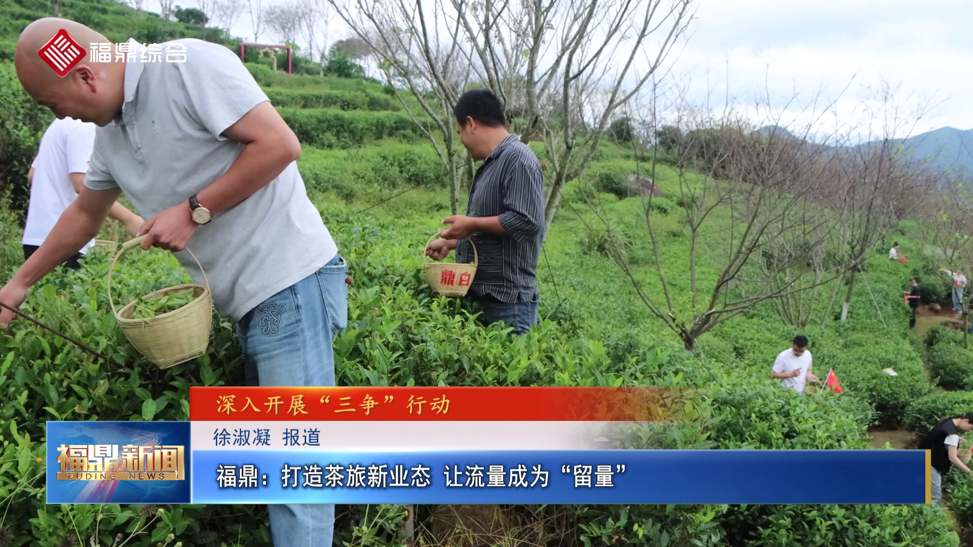 福鼎：打造茶旅新业态 让流量成为“留量”