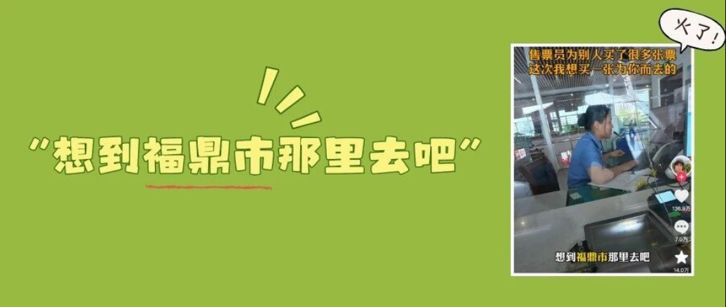 “福鼎盲盒旅行”火了！福鼎为何被博主们偏爱